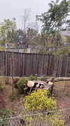 jjas.ding Altpins Profile Picture