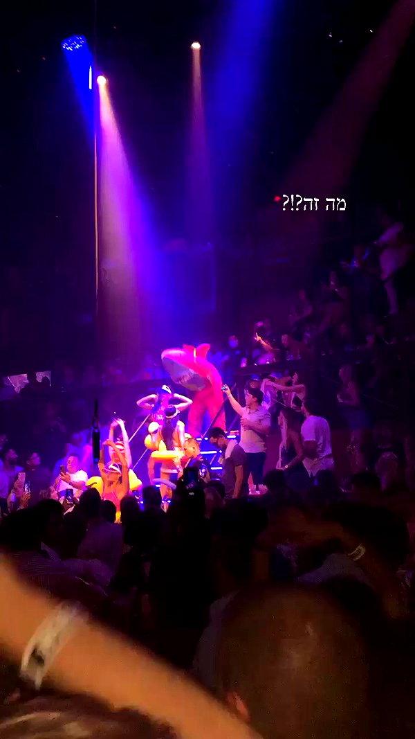daniel_shallom archive video preview