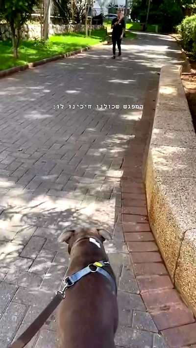 kesemgreenyer kesemgreenyer archive video