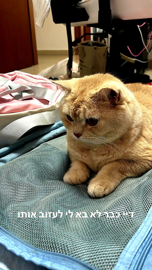 bbyerikss archive video preview