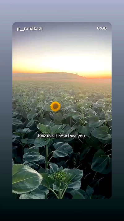 _lil_noa_ _lil_noa_ archive video