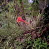 alenittta Altpins Profile Picture