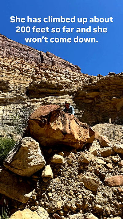 haylujan haylujan archive video