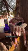 heathergrace67 Altpins Profile Picture