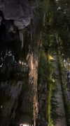sydney_melman Altpins Profile Picture
