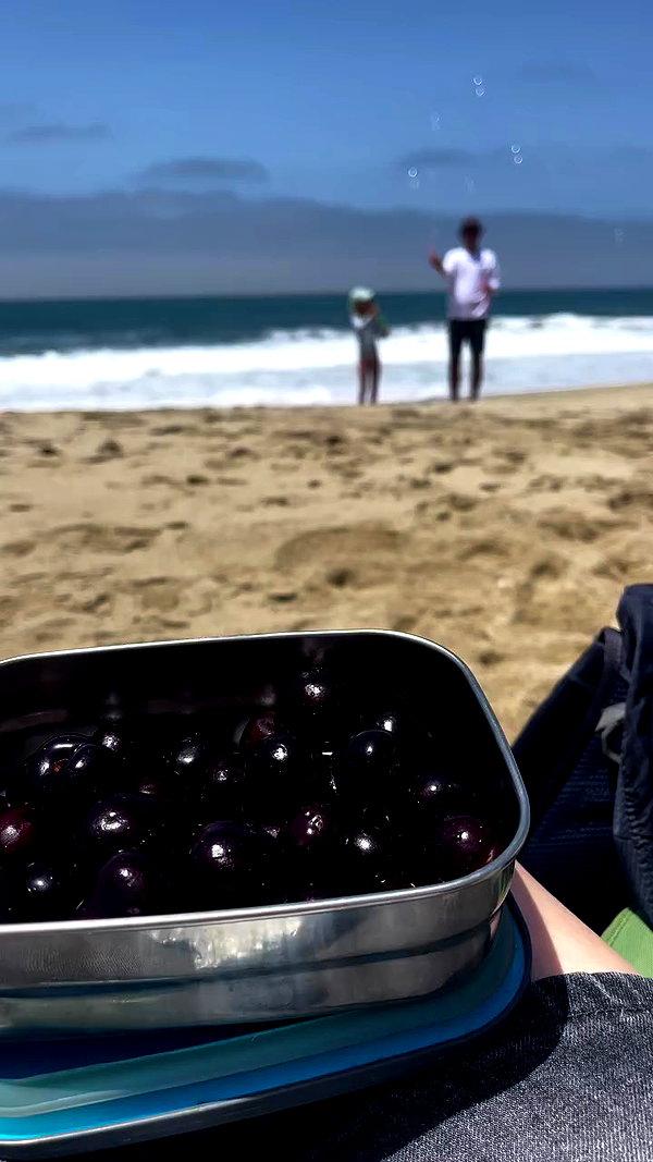 v.e.r.o._.n.i.c.a archive video preview