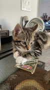 heathergrace67 Altpins Profile Picture