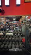 morguemuscle Altpins Profile Picture