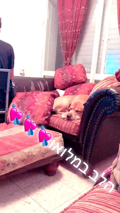 lissi77 lissi77 archive video