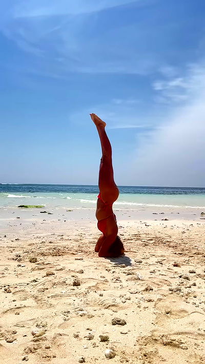 liad.arazi liad.arazi archive video