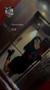 rebecka_tsadok Altpins Profile Picture