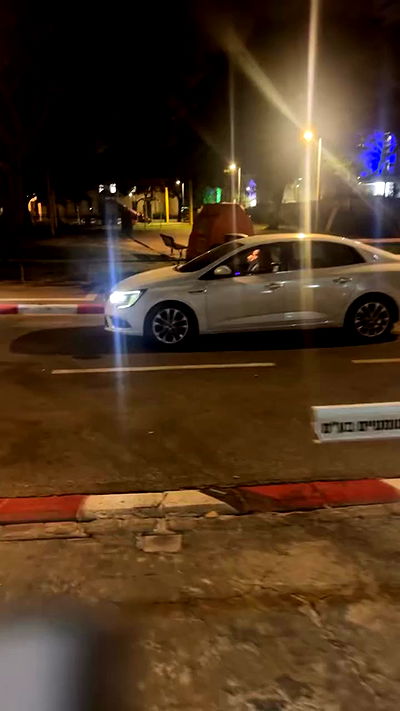 romy_ayalla_lavi romy_ayalla_lavi archive video