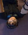 zz.eazoning Altpins Profile Picture