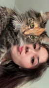 shinyykiraa Altpins Profile Picture