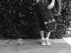 sydney_melman Altpins Profile Picture