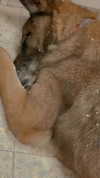 emily_new2 Altpins Profile Picture