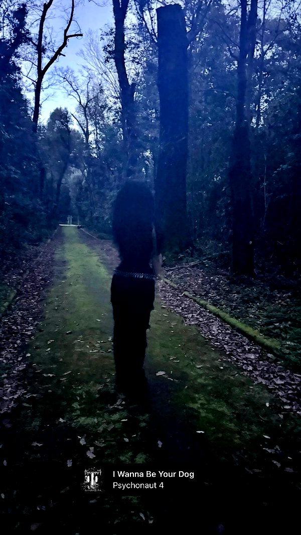 sexmetalwhore archive video preview