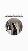 nuanyn Altpins Profile Picture