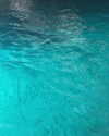 greta.m_ Altpins Profile Picture