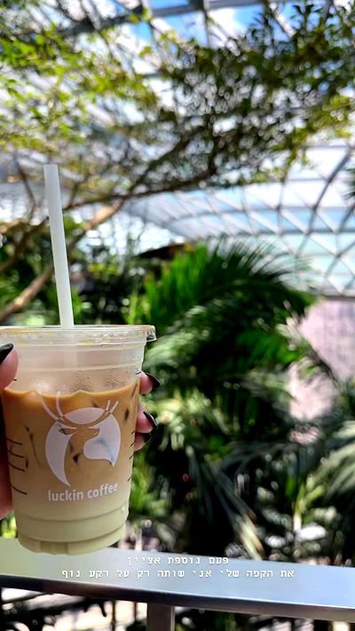 kesemgreenyer kesemgreenyer archive video