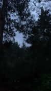 kernyz Altpins Profile Picture