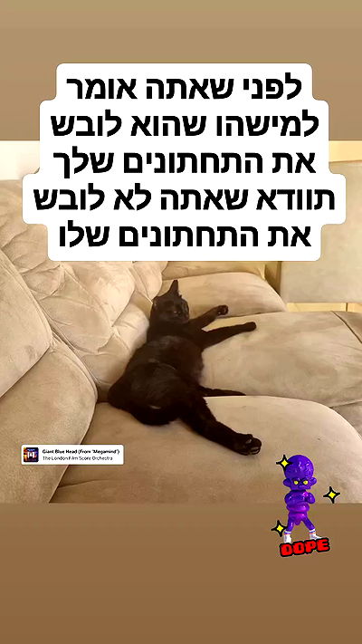 shayli_or shayli_or archive video