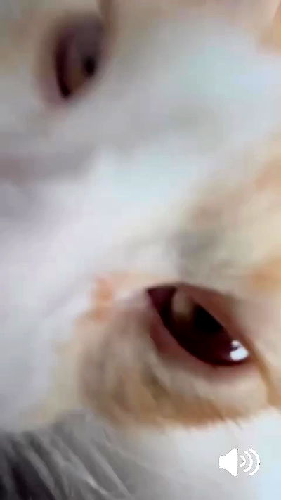 hellokittyangel666 hellokittyangel666 archive video