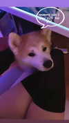 aryssa614 Altpins Profile Picture