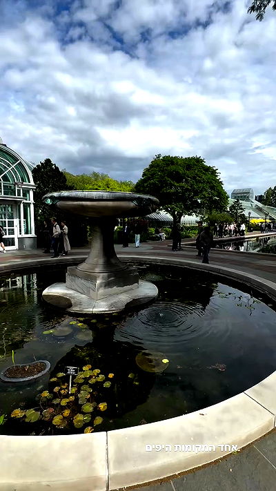 biton__adi biton__adi archive video