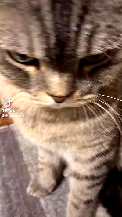 neomiconrad neomiconrad archive video