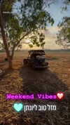 shaipeleg Altpins Profile Picture