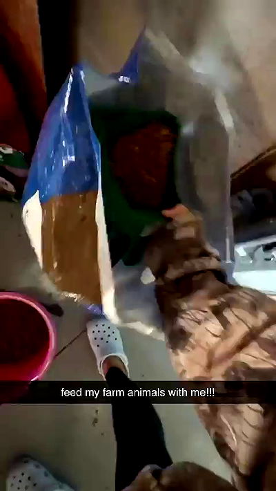 sophieraiin sophieraiin archive video