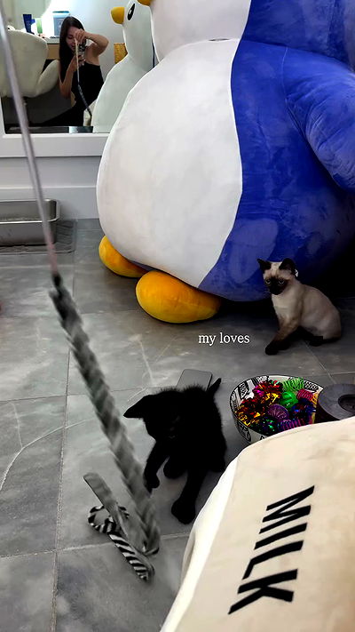 sophiemudd sophiemudd archive video