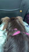 sophia.zadvor Altpins Profile Picture