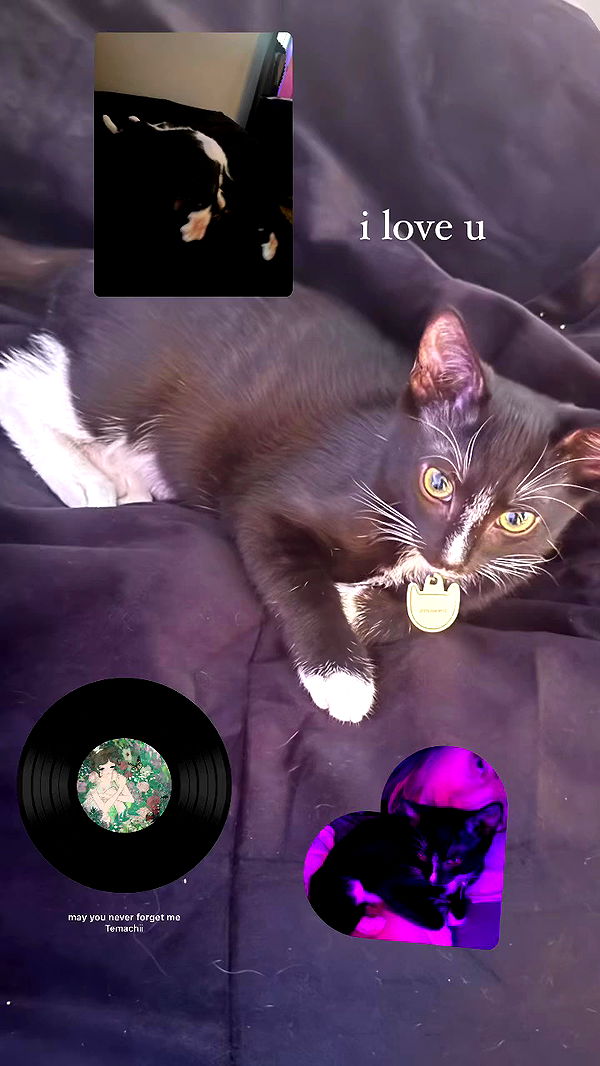 6nattynat9 archive video preview