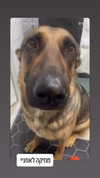 emily_new2 Altpins Profile Picture
