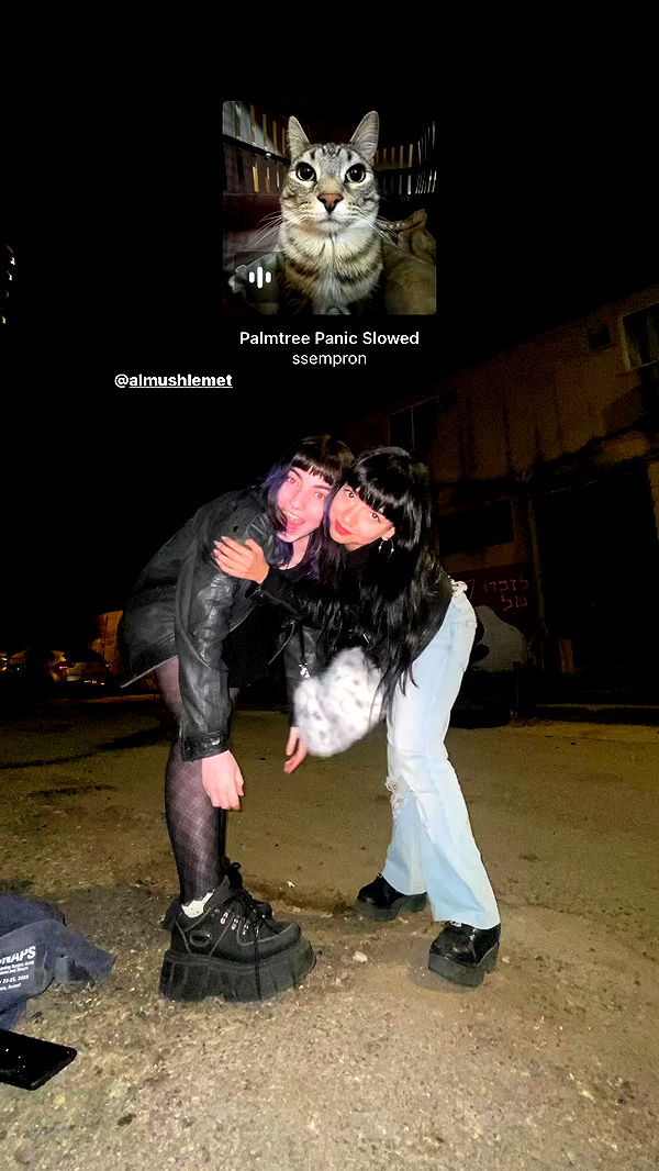 yam_adler archive video preview