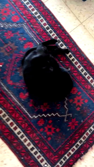 feelbetterinmysweater feelbetterinmysweater archive video