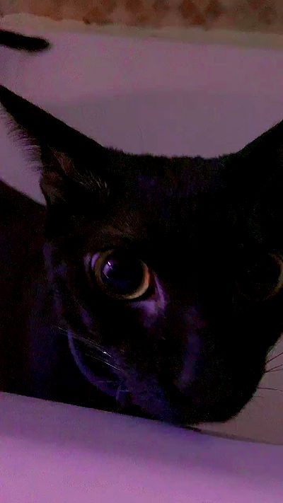 feelbetterinmysweater feelbetterinmysweater archive video