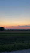 sarah.anne.dipity Altpins Profile Picture