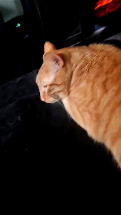 lilith.hecate lilith.hecate archive video