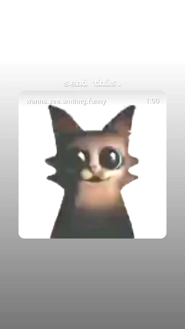 wanna.see.smthng.funny archive video preview