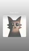 wanna.see.smthng.funny Altpins Profile Picture