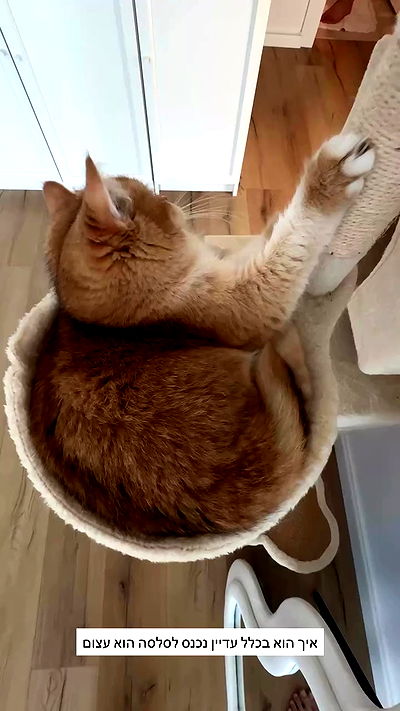 itsilanosh itsilanosh archive video