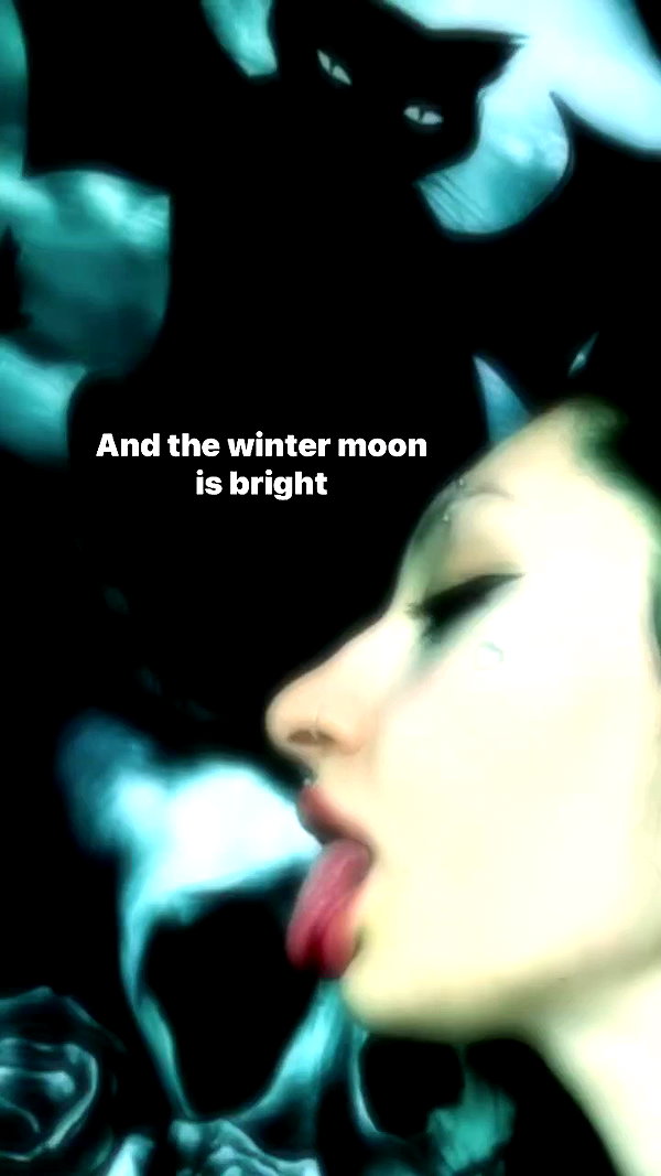 blackivy.xx archive video preview