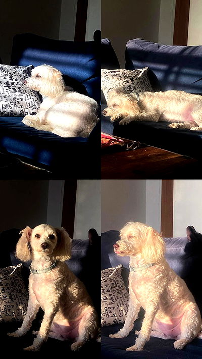 feelbetterinmysweater feelbetterinmysweater archive video