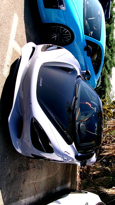 simp_for_cats_ simp_for_cats_ archive video