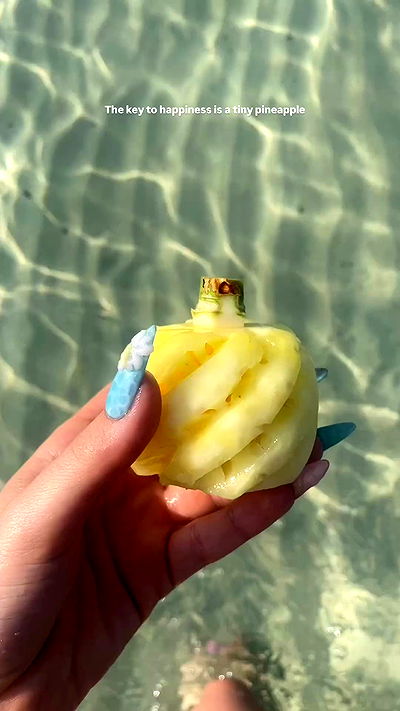 yam_adler yam_adler archive video