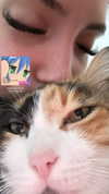 avitallllllll Altpins Profile Picture