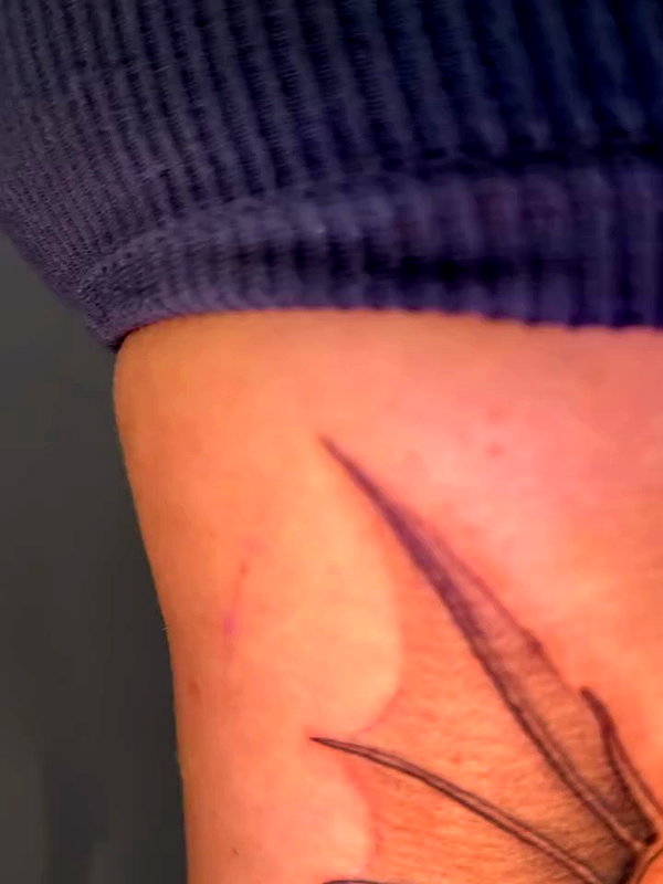 jnk.tattoo archive video preview